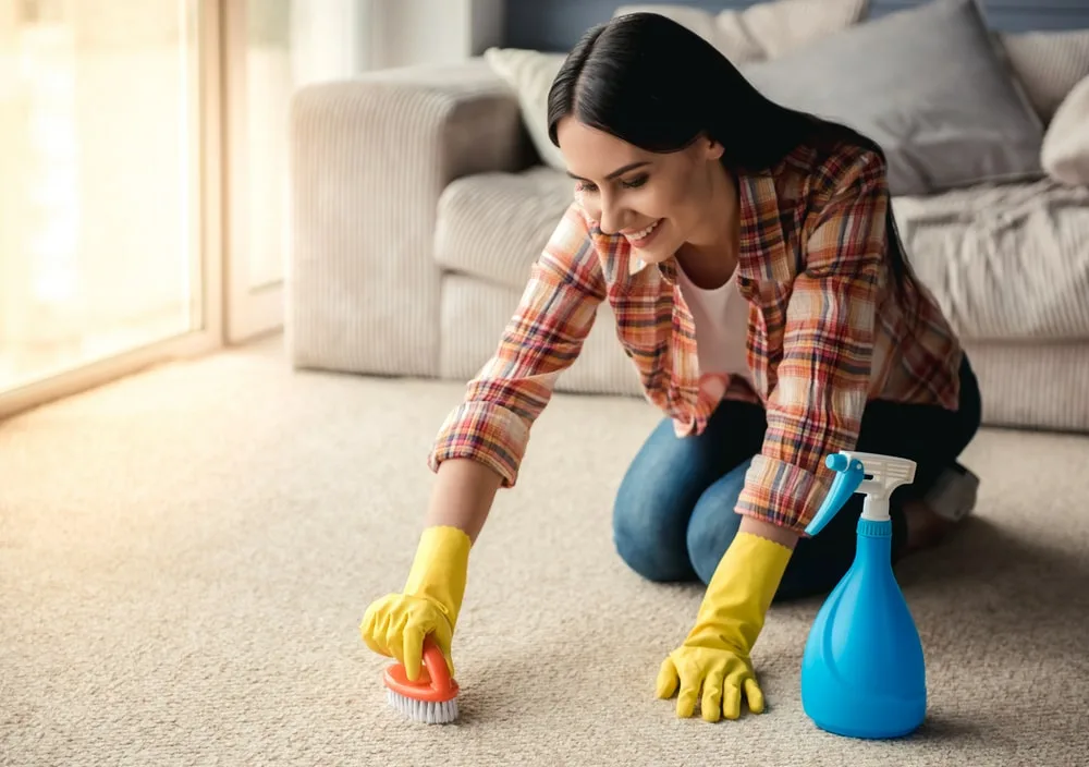 Home Cleaning Services
