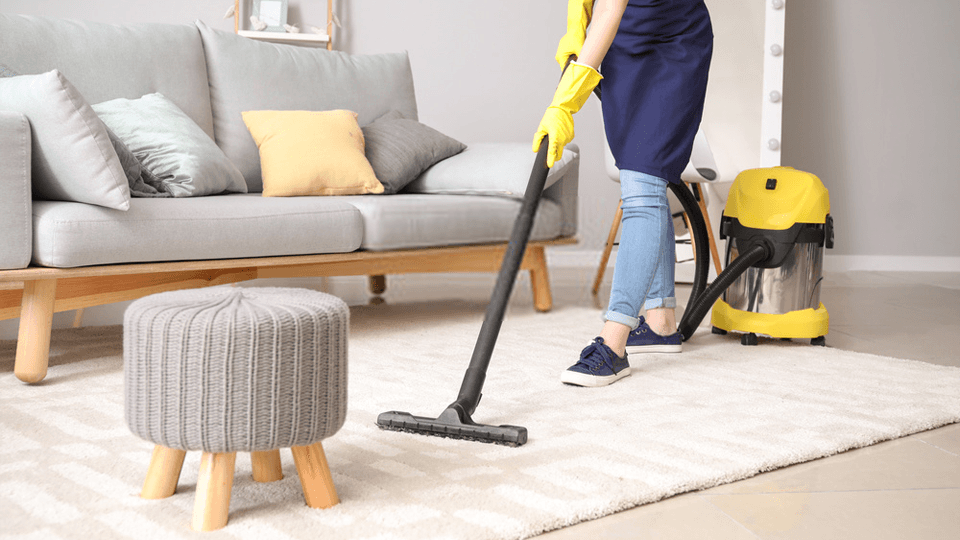 Professional Cleaning Services